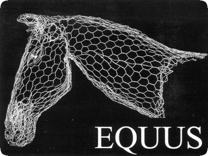 Equus_01