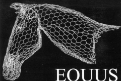 Equus_01