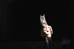 Equus_17