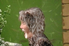 480_kater1